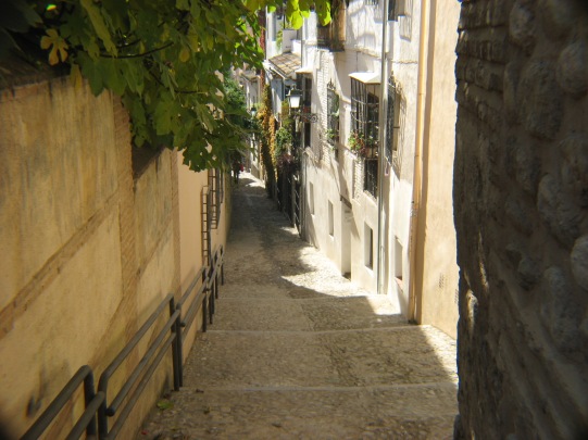 Old Town Granada Street